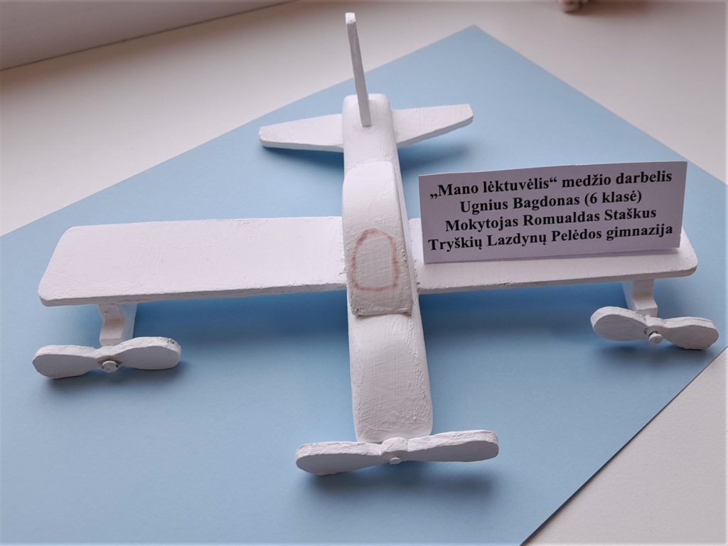 Ateities profesiją renkuosi šiandien